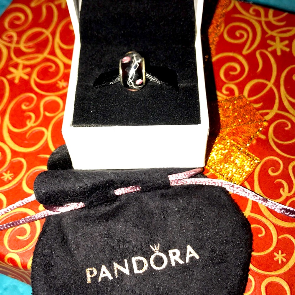 Nice Pandora Charm Bead Comes in a Pandora Pouch